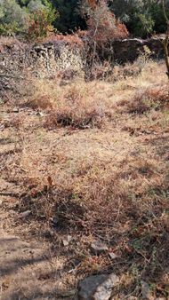 İzmir Bayındır Sarıyurt Mahallesinde Dere Kenarı Düz Konumda 287 M² Bahçe Satılıktır