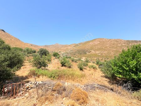Bodrum Dereköy'de Yerleşime Yakın Yatırımlık Tarla