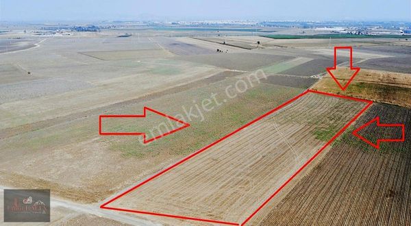 Umut Balta Gayrimenkul'den Büyükmangıt'ta Satılık Tarla 24 Dönüm