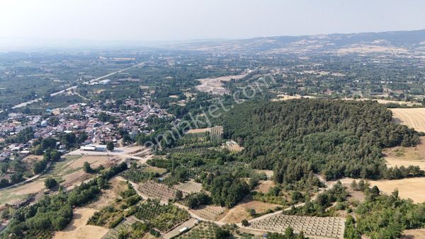 Antant Emlaktan İnegöl Hamallı Köyünde Hobi Bahçesi