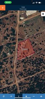 Didim Ak Yeniköy‘de Satılık Tarla