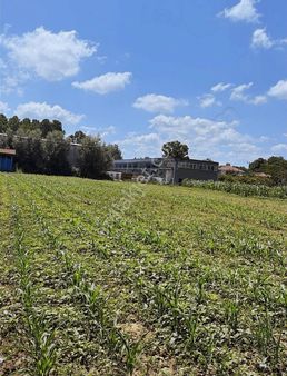 Kasdal Gayrimenkulden Çarşamba Sanai Sitesinde 5 Dükkanlık Arsa
