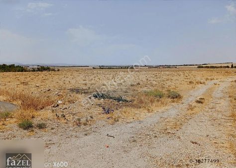 Fazelden Ana Yola 56 Metre Anayola Cepheli Tarla