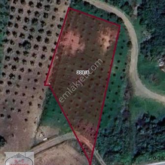 M&ş Gayrimenkulden Satılık Arsa