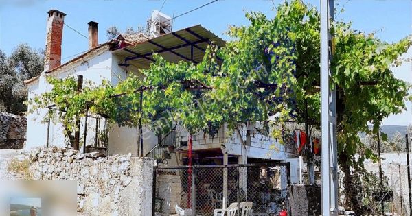 Milas Ören Yakınlarıda Bahceli Müstakil Köy Evi Satılık