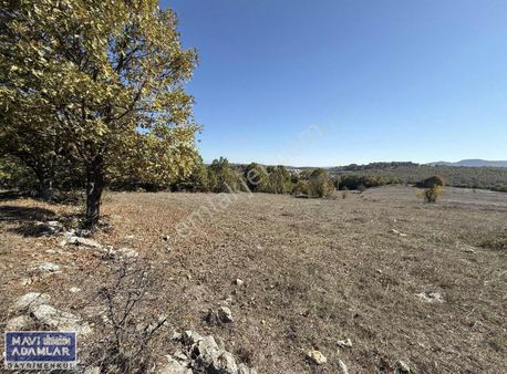 Mustafakemalpaşa Sincansarnıç 5222 M2 Müstakil Parsel