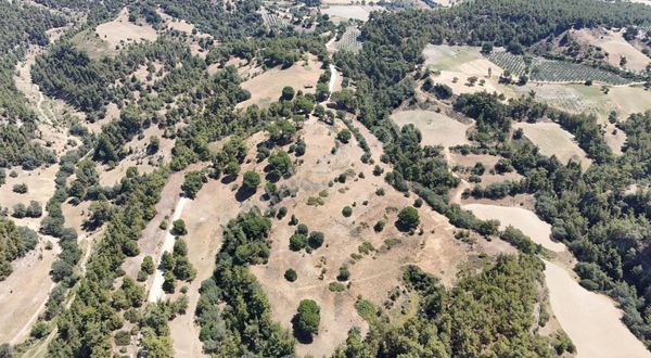 Ferah Konumda Ulaşım Sorunu Olmayan 22.861m² Tarla