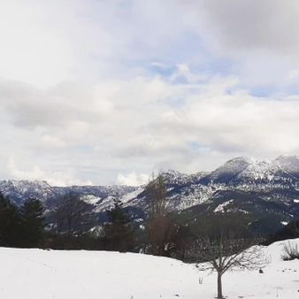 Pozantı Kar Emlaktan Yeni Konacık Körmenlik Mevkiinde 400 M2 Arsa