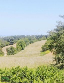 Deallife Gayrimenkul Den Akmeşe De Yatırımlık Tarla