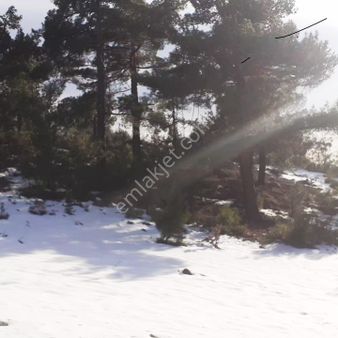 Pozantı Kar Emlaktan Gökbez Yaylasında 400 M2 İmarlı İfrazlı Doğa Manzaralı Arsa