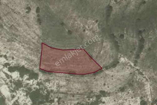 Kocaeli Kandıra Yağcılar Satılık Tarla Fırsatı