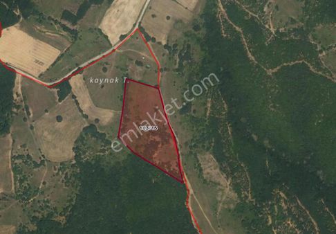 İnegöl Babaoğlu’nda 19.787 M² Yola Cepheli Geniş Tarla – Yatırıma Uygun