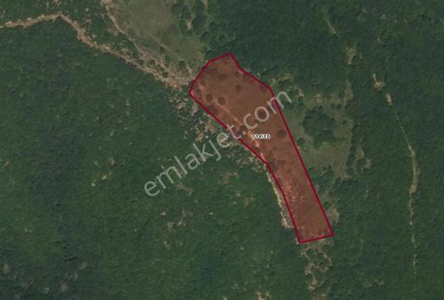 İnegöl Karabasanlar’da 6.395 M² Tarla – Yatırımlık Ve Tarıma Uygun