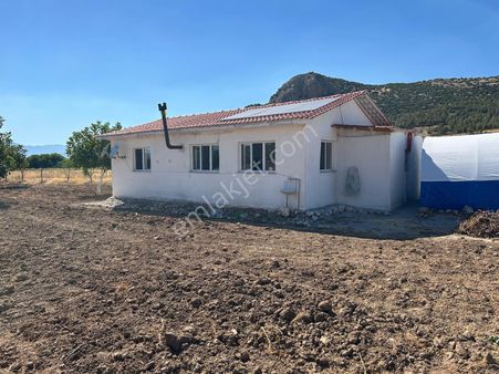 Altun’dan Satılık 6 Dönüm Ceviz Bahçesi Ve 70 M2 Ruhsatlı Ev!