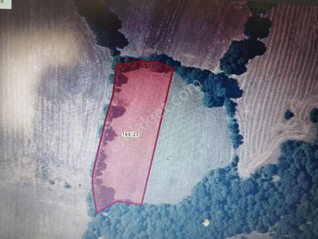 Frang Group'tan Manyas Kubaş Mahallesinde Tarla