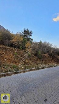 Atabey'den Bağbaşı Zeytinköyde Dağ Ve Şehir Manzaralı Arsa