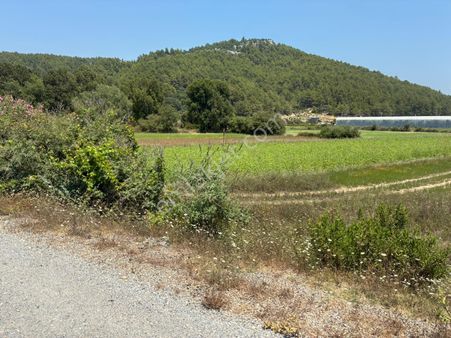 Antalya - Manavgat Uzunlar Mahallesinde Satılık Tarla