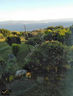 Bağlarbaşında 2400 M2 Deniz Manzaralı Projesi Hazır Zeytinlik