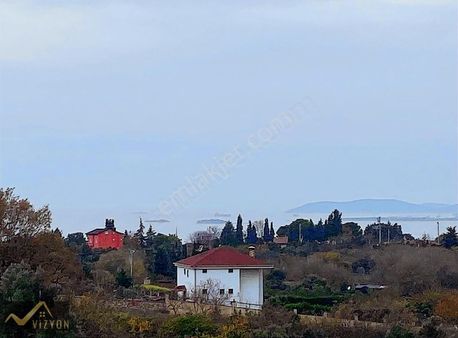 Vizyon Emlak'tan Cami Mh 2.700 M2 Beton Yola Cepe Tarla