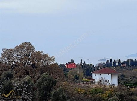 Vizyon Emlak Ferhat Yağcı'dan 3.200 M2 Zeytinlik