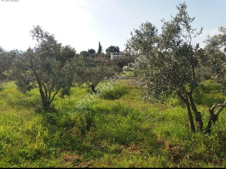 Stop’tan Seydikemer Girmeler 4341m² Arazi