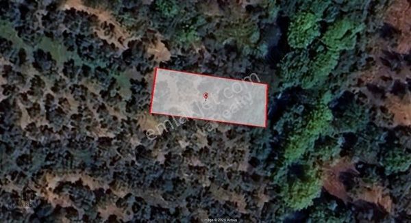 Nova Realty'den Çakırlı'da Göl Manzaralı Düz Zeminli Zeytinlik