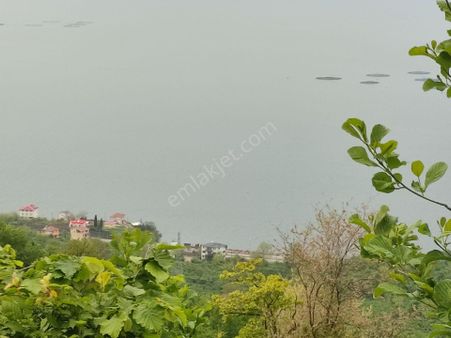 Fume Emlaktan Kaleköy De Satılık Full Deniz Manzaralı Araziler