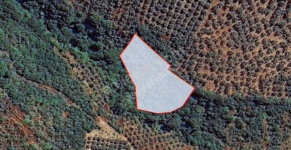 Nova Relty'den Keramet Mahallesi'nde Çok Uygun Harika Tarla