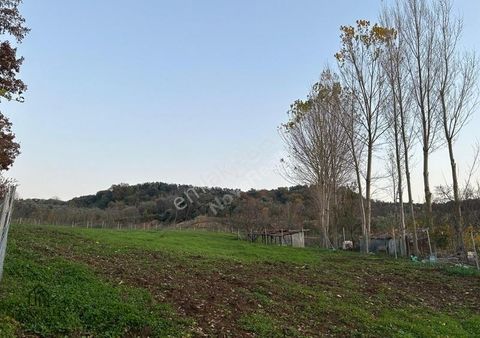 Nova'dan Yeniköy'de Otoyola Yakın Satılık 2789 M2 Fırsat Arazi