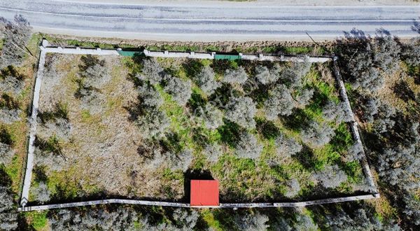 Nova Realty'den Yenisölöz Mahallesinde Asfalt Cepheli Zeytinlik