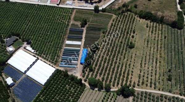 Nova Realty'den Fabrika Bölgesinde Yatırımlık Tarla