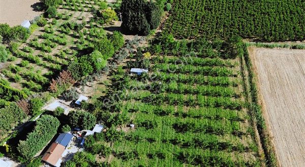 Nova Realty'den Yeniköy'de Resmi Yola Cephe Harika Cevizlik