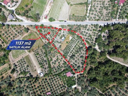 Kuşadası Kirazlı Köyünde Ana Caddeye Cepheli Tarla