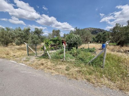 Önemlak'tan Burhaniye Dutlucada Asfalt Yola Cephe Satılık Hobi Bahçesi Zeytinlik.