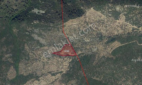 Balıkesir Havran Dereören De Satılık 6472m2 Tarla