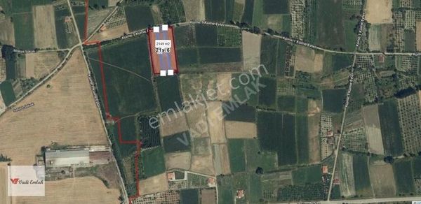 Vadi Emlak'ta Emirseyit'te Yola Sıfır Satılık Tarla