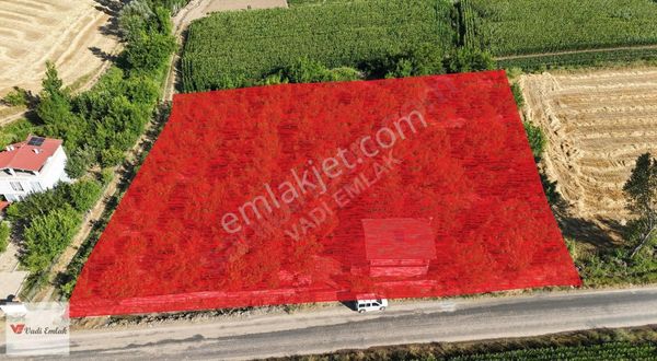 Vadi Emlak'tan Cincife Köyü'nde Yola Cehpe Satılık Tarla