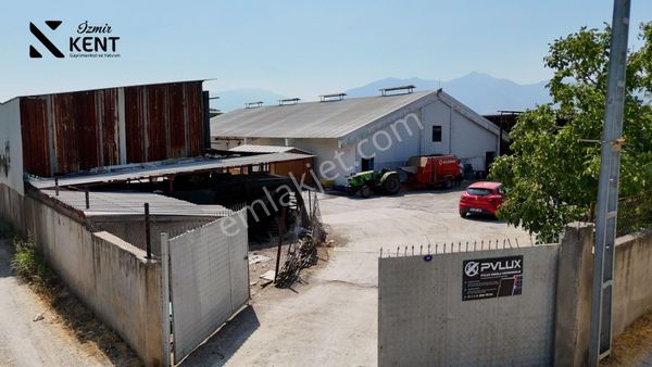 Kemalpaşa M.akif Ersoy 10.740 M2 Satılık Çiftlik