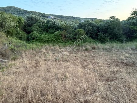 Frang Group'tan - Sahil Yenicede Satılık Tarla