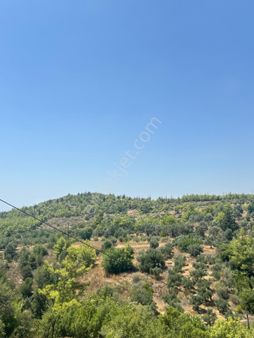 Antalya- Manavgat Hacısali Köyünde Deniz Manzaralı Tarla Satılık