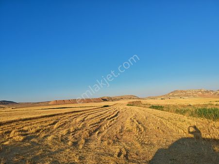 Ankara Nallıhan Eymir Köyü Satılık 6423,55 M2 Yatırımlık Tarla