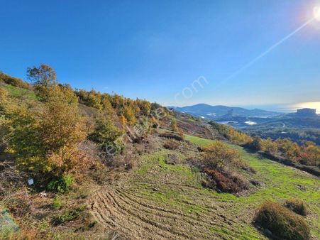 Mahmutlarda Villa Yapımına Uygun Deniz Manzaralı Satılık İkiz Parsel Arsa I Her Biri 130.000 Euro