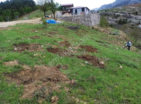 İsmail Yıldırım Emlak'tan Tekir Akgedik'de Fırsat 3.371 M2 Tarla