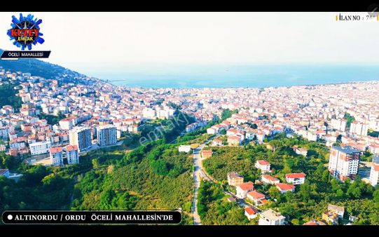 Altınordu/ordu Öceli Mahallesin'de Satılık Fındık Bahçesi