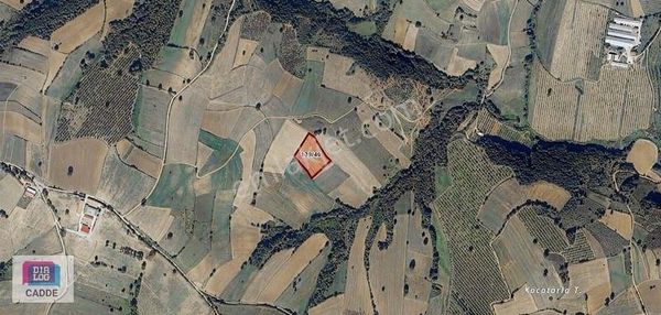 İzmit Yenice Satılık Fırsat 8.358 M2 Arsa