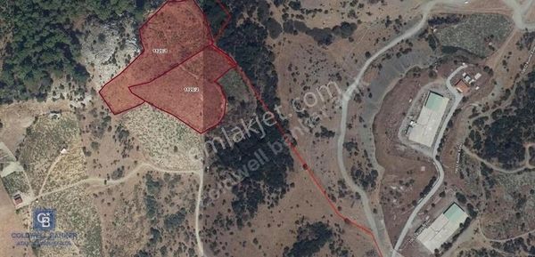 Güzelbahçe Payamlı 18.782m2 Arsa