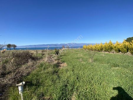 Balıkesir Burhaniye De Satılık 1.155 Metre Kare Arsa.denize Sıfır.