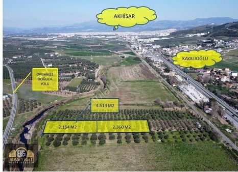 Kayalıoğlu Mah.asfalt Yakını.4.500 M2 Müstakil Tapu Zeytinlik