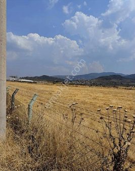 Gürgin Emlaktan Satılık Halilbeyli De Asfalt Üzeri Arsa