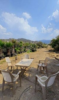 Gürgin Emlak Tan Satılık Çepnibaktaş Köy Yolu Üzerinde Arsa